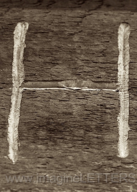 Wall_Art_Alphabet_Photography_Art_ 772.jpg